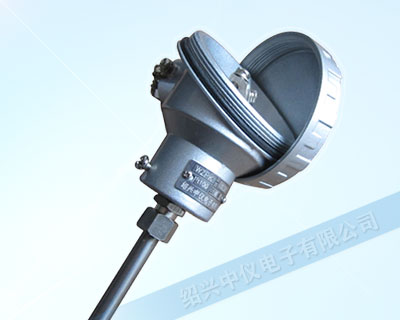 WZPK帶引線熱電阻
