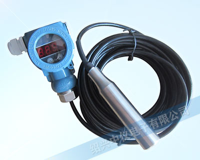 數(shù)顯投入式液位變送器